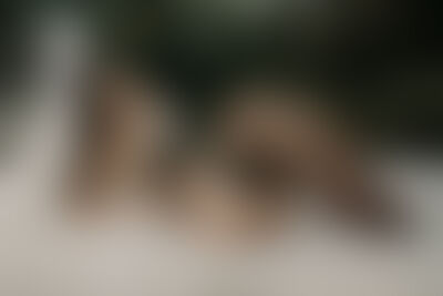 AdeliaLis's hot video